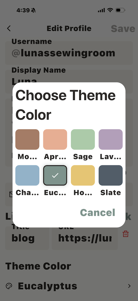 View of theme color options on Sewcial app